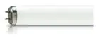 Philips TL - DK 36W - Lampada Ultravioletta | 60cm - Insectkiller